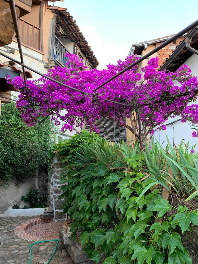 Lanzaroco, Tu Casa En La Vera Valverde de la Vera Esterno foto