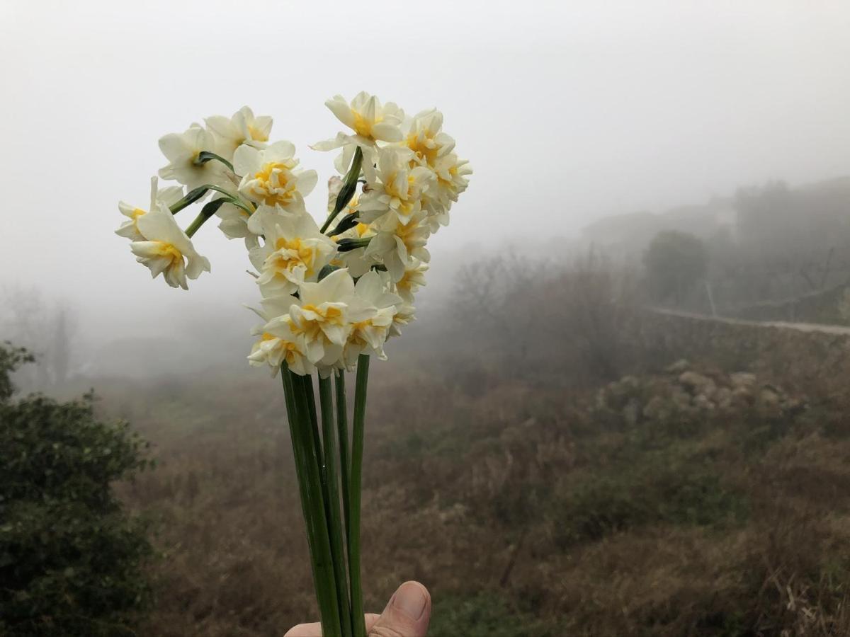 Lanzaroco, Tu Casa En La Vera Valverde de la Vera Esterno foto